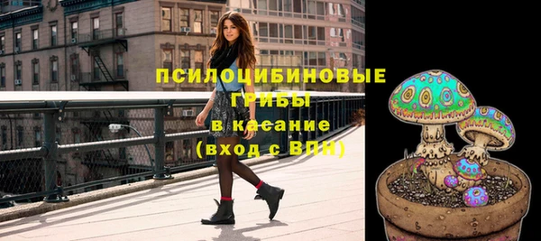 марихуана Абаза