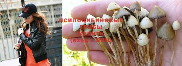 кокаин колумбия Алексеевка