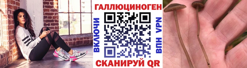 Псилоцибиновые грибы Cubensis  Ярцево 