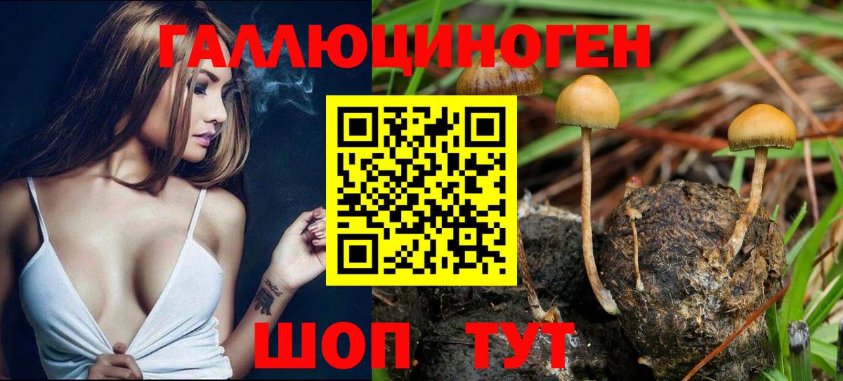 Галлюциногенные грибы мицелий Ярцево