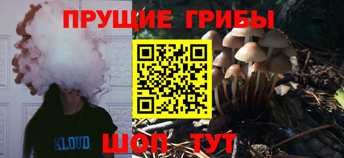 Псилоцибиновые грибы Magic Shrooms  Вход с VPN  закладки  Ярцево 